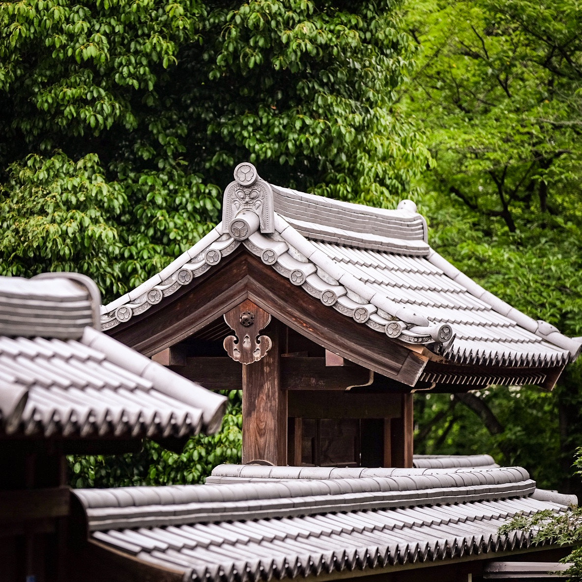 Fujifilm X-T10 + Fujifilm XF 50-140mm F2.8 R LM OIS WR sample photo. Japanese architecture in kawagoe japan.. photography