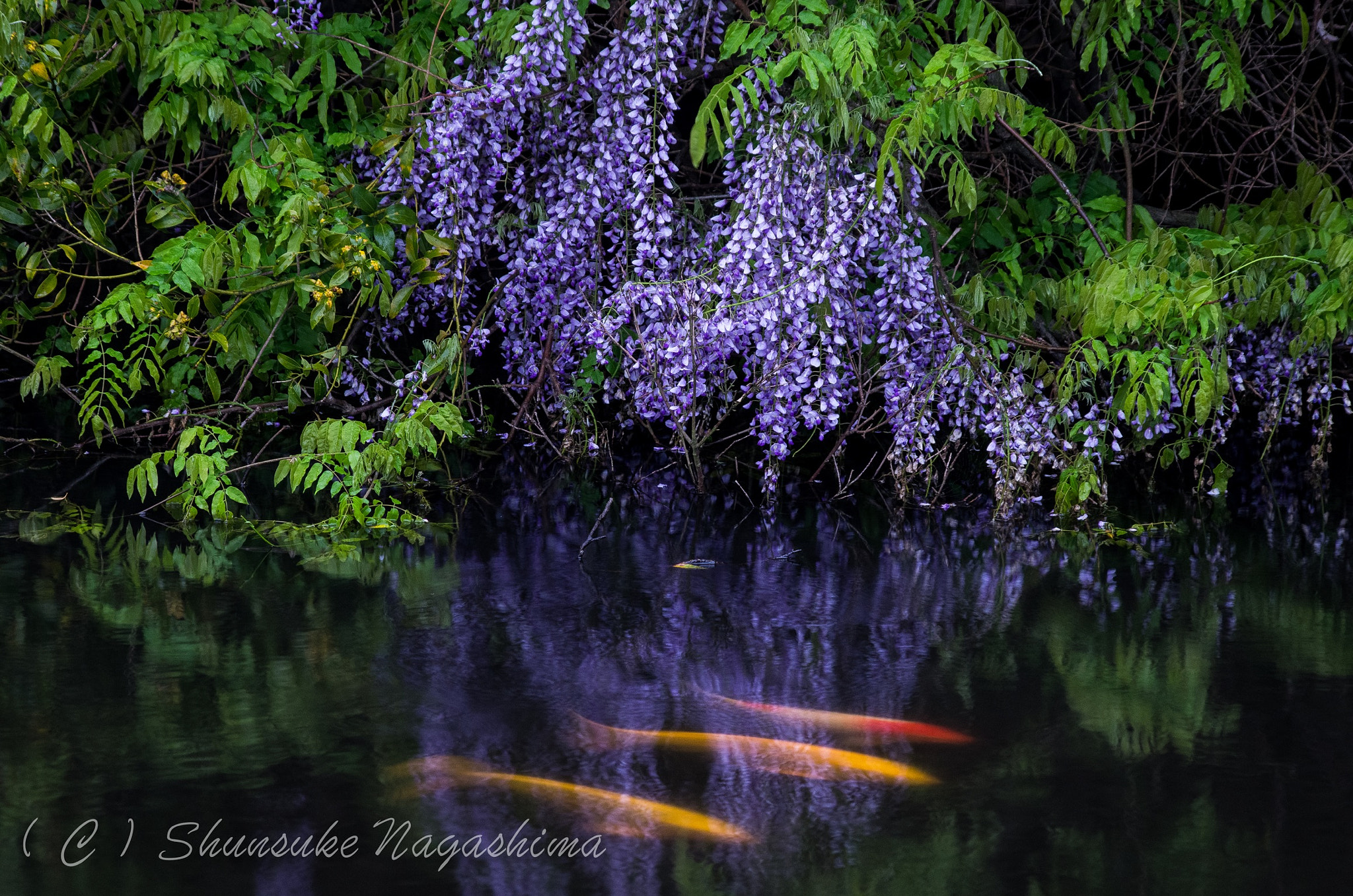 Pentax smc DA 55-300mm F4.0-5.8 ED sample photo. Fuji in shimonoseki photography