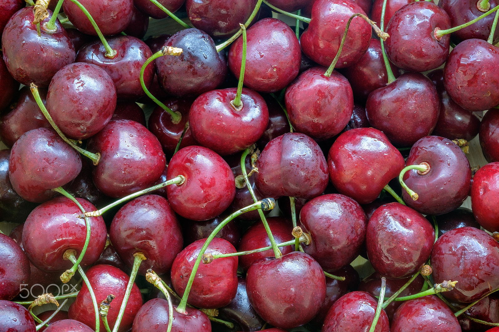 Fujifilm X-E2 + Fujifilm XF 60mm F2.4 R Macro sample photo. Close up of fresh cherry berries with water drops as background. photography