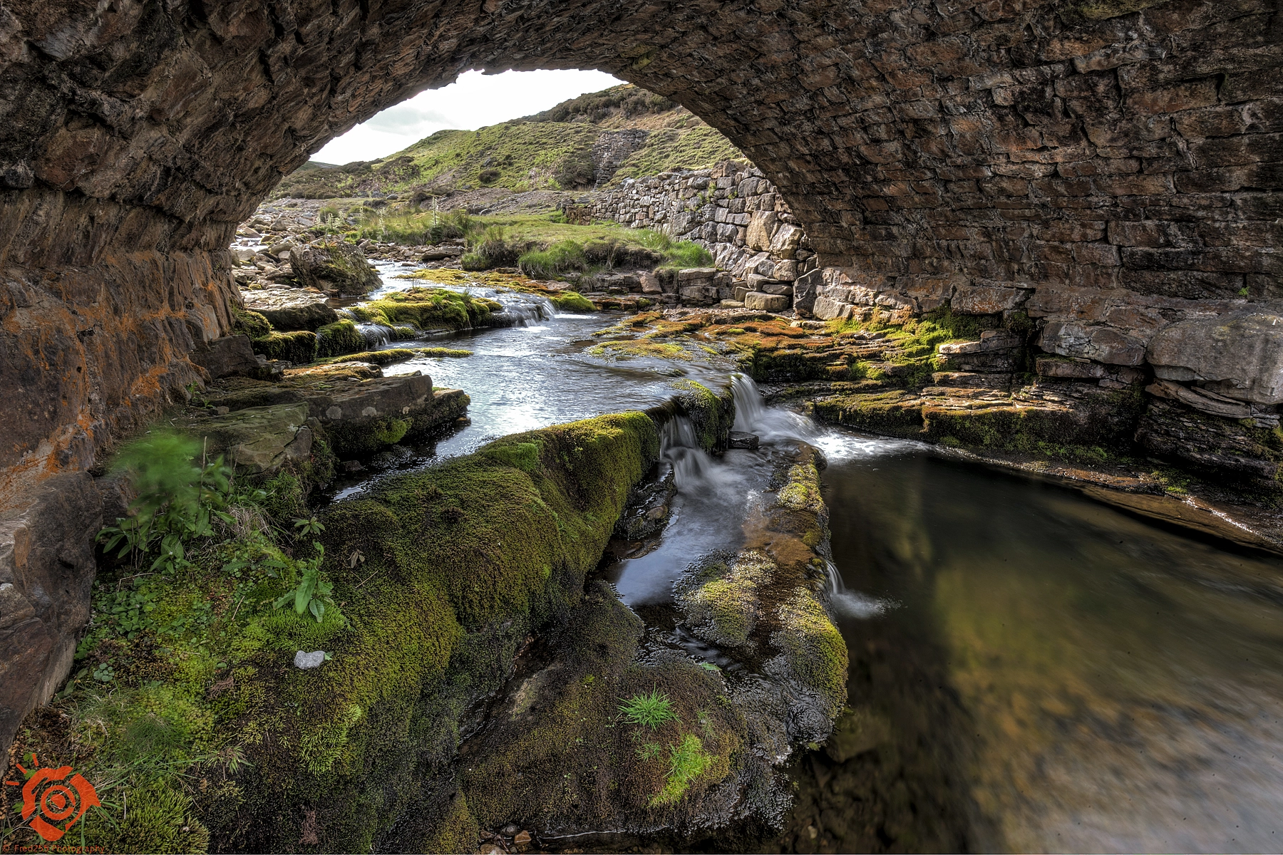 Canon EOS-1Ds Mark III sample photo. Old gang beck photography