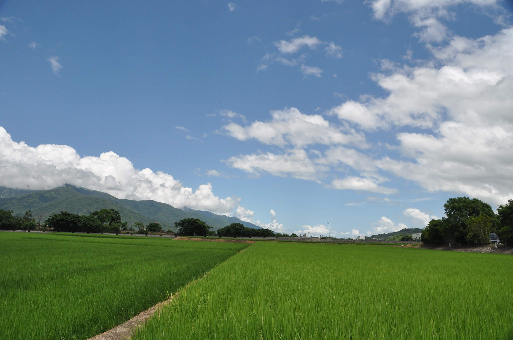 Nikon D90 + Sigma 18-200mm F3.5-6.3 DC sample photo. 24507045822.jpg photography