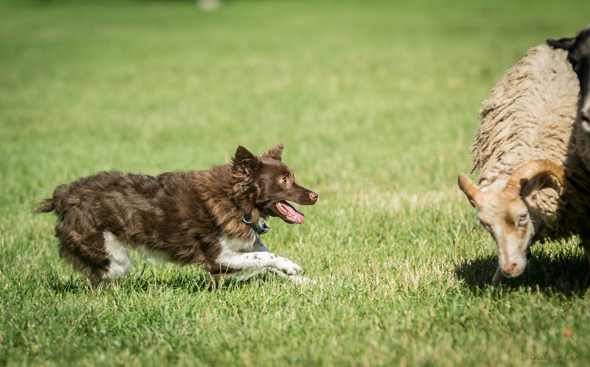 Nikon D3100 sample photo. Not too small... photography