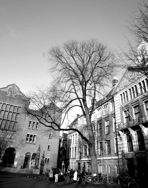 Sony E 16-50mm F3.5-5.6 PZ OSS sample photo. Amsterdam photography