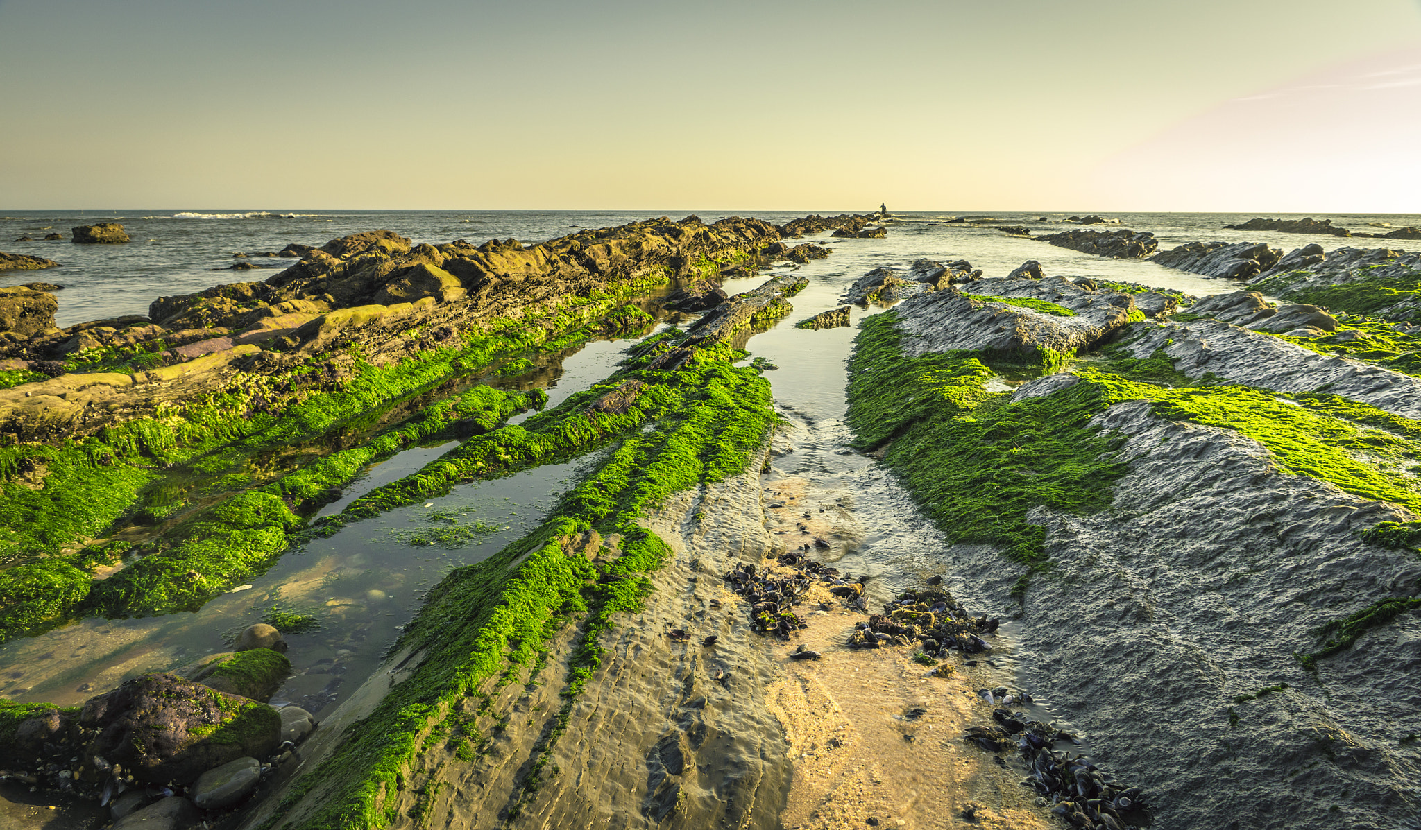 Sony DT 16-105mm F3.5-5.6 sample photo. The green in the ocean photography
