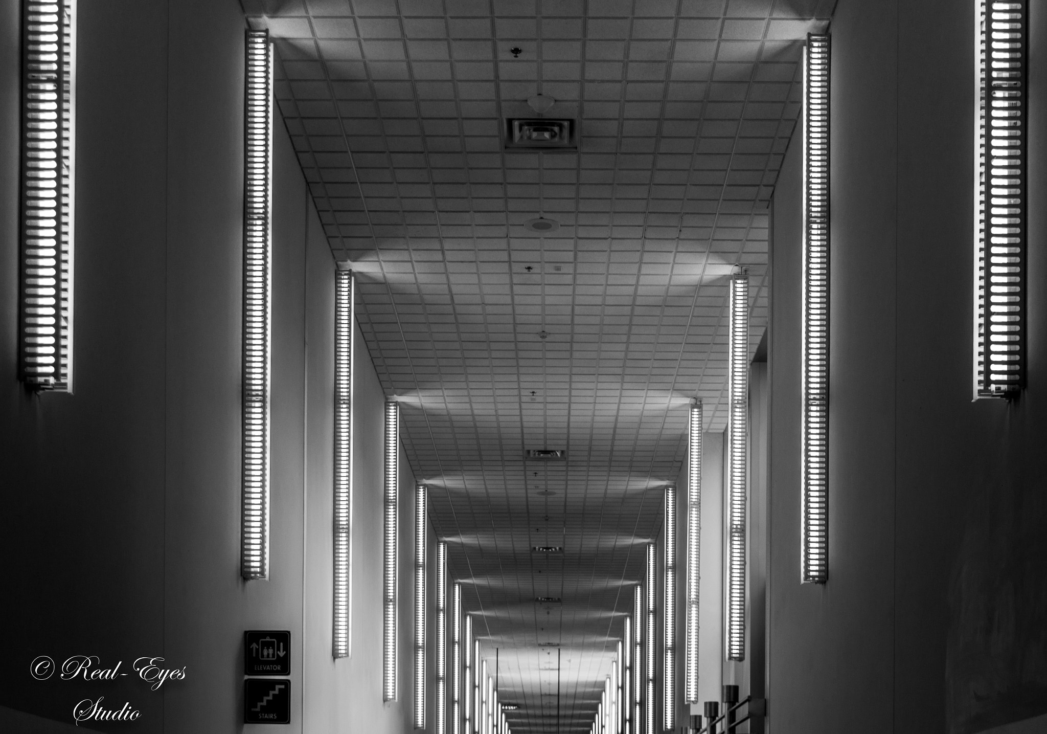 Sigma 24-70mm F2.8 EX DG Macro sample photo. The path we follow is usually well lit from the in ... photography