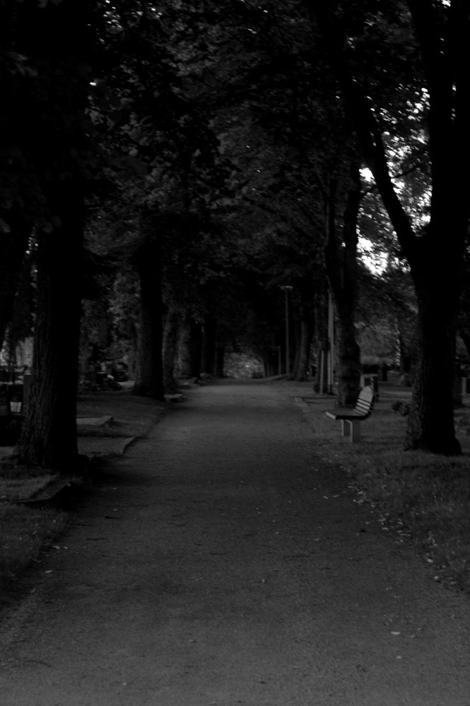 Nikon D2X sample photo. Cemetery road photography