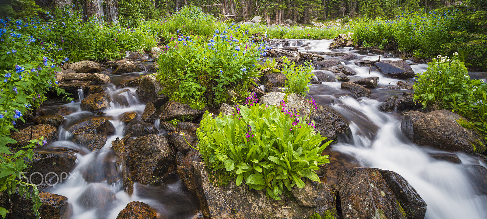 Nikon D800E + Nikon PC-E Nikkor 24mm F3.5D ED Tilt-Shift sample photo. Nature paradise photography