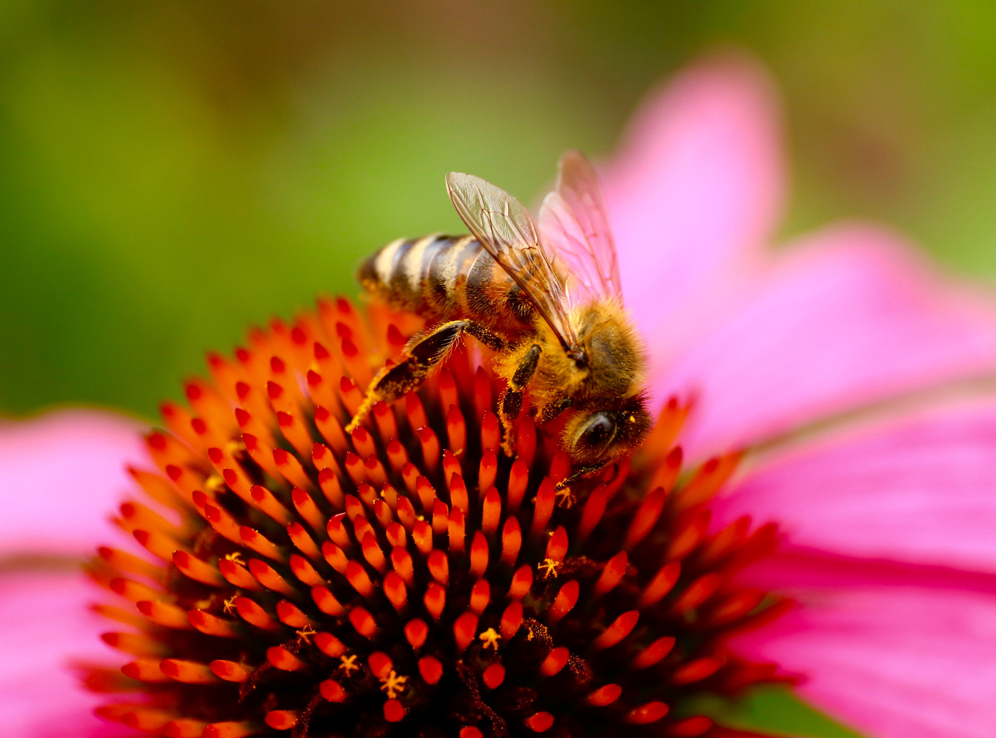 Canon EOS 5DS sample photo