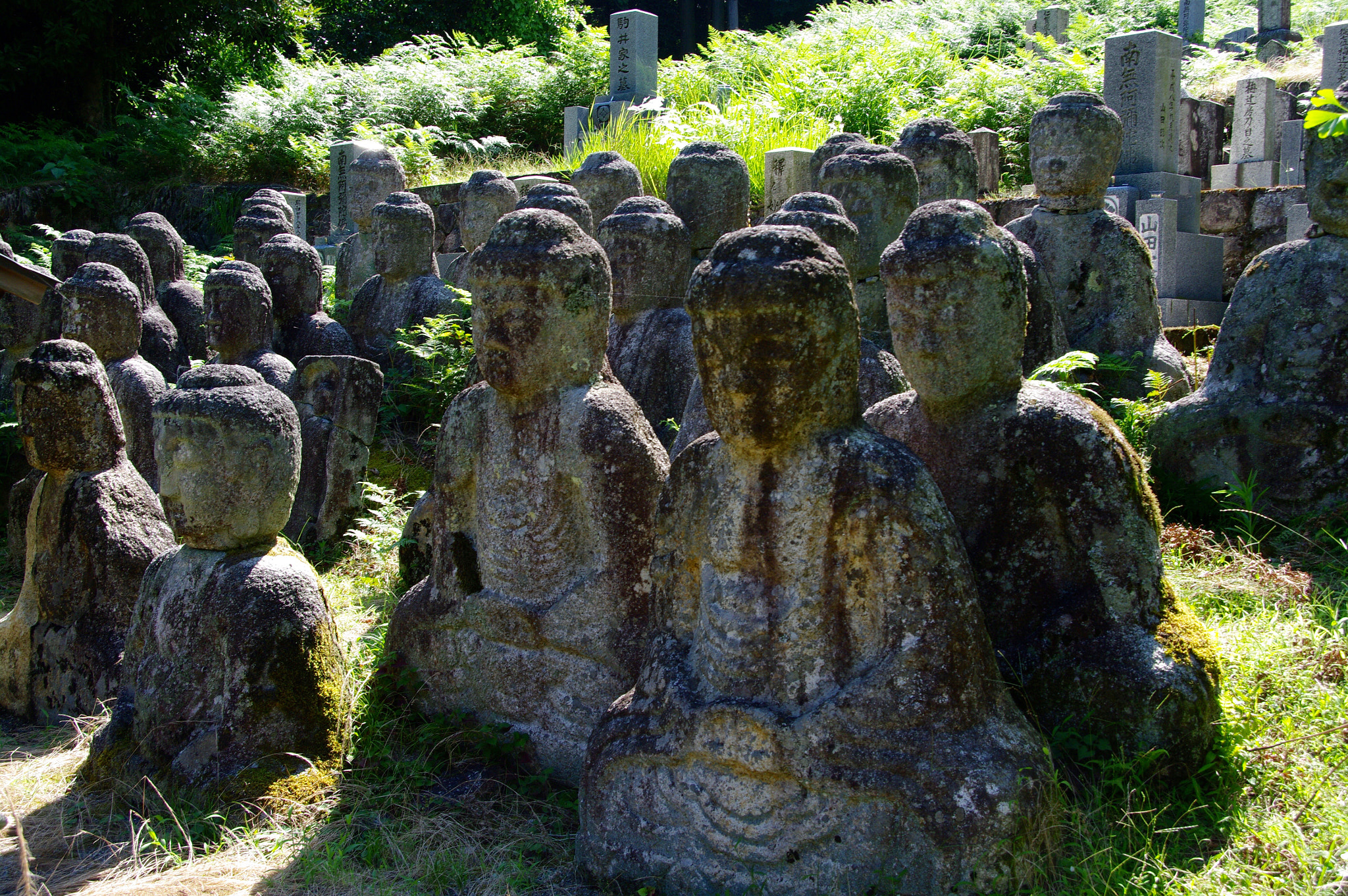 Pentax K20D sample photo. The 48 buddha photography