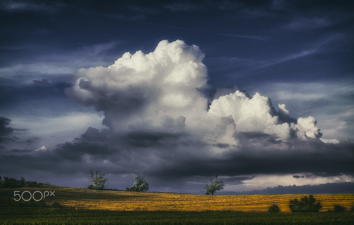 Sony Alpha DSLR-A580 + Tamron SP 24-70mm F2.8 Di VC USD sample photo. Clouds and trees photography