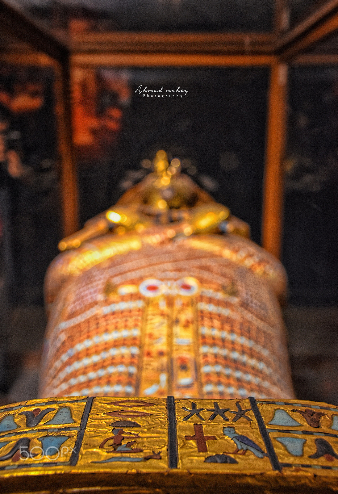 Sigma 70-300mm F4-5.6 APO DG Macro sample photo. Golden mummy photography