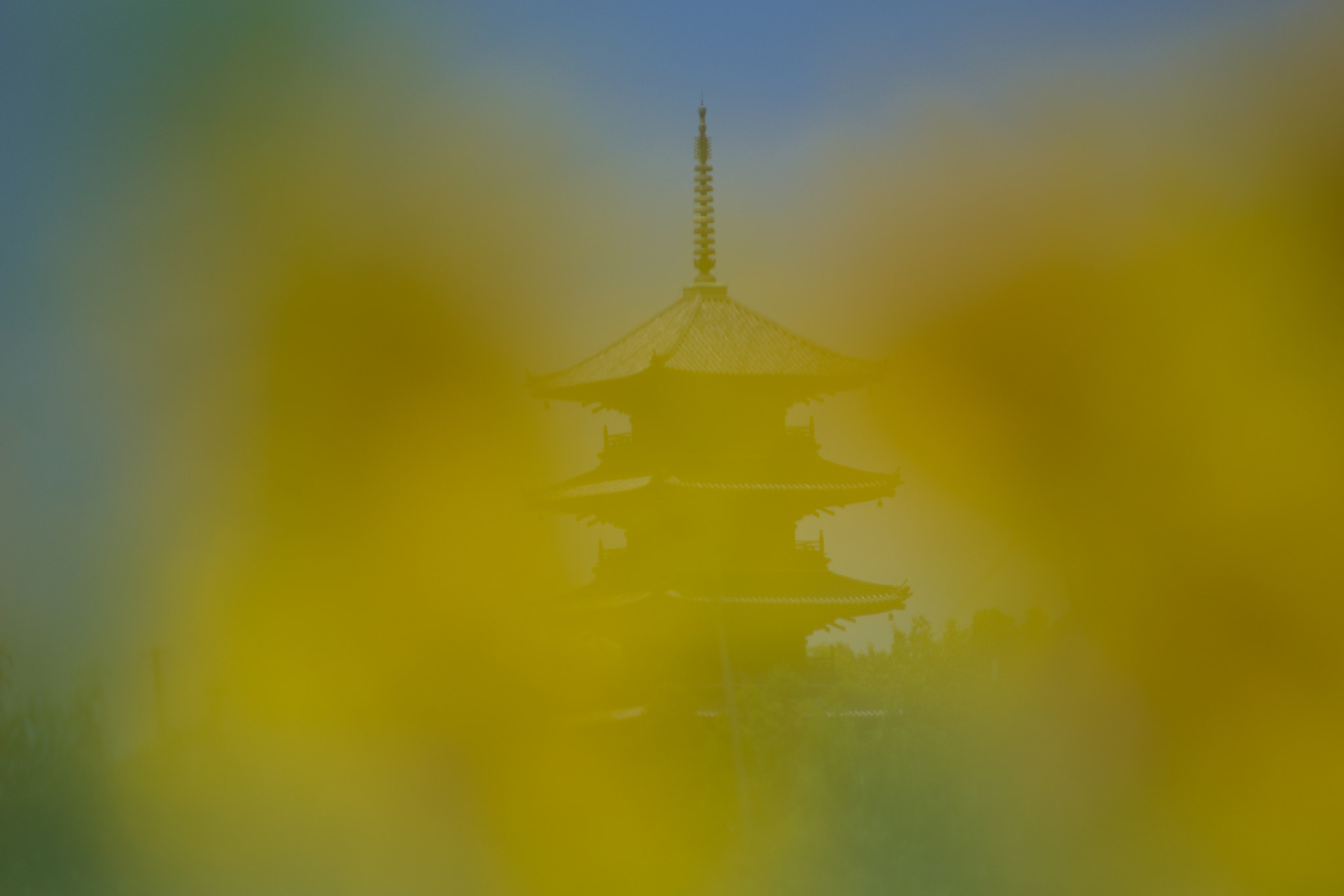 smc PENTAX-FA* 80-200mm F2.8 ED[IF] sample photo. Sunflower and the five-storied pagoda photography
