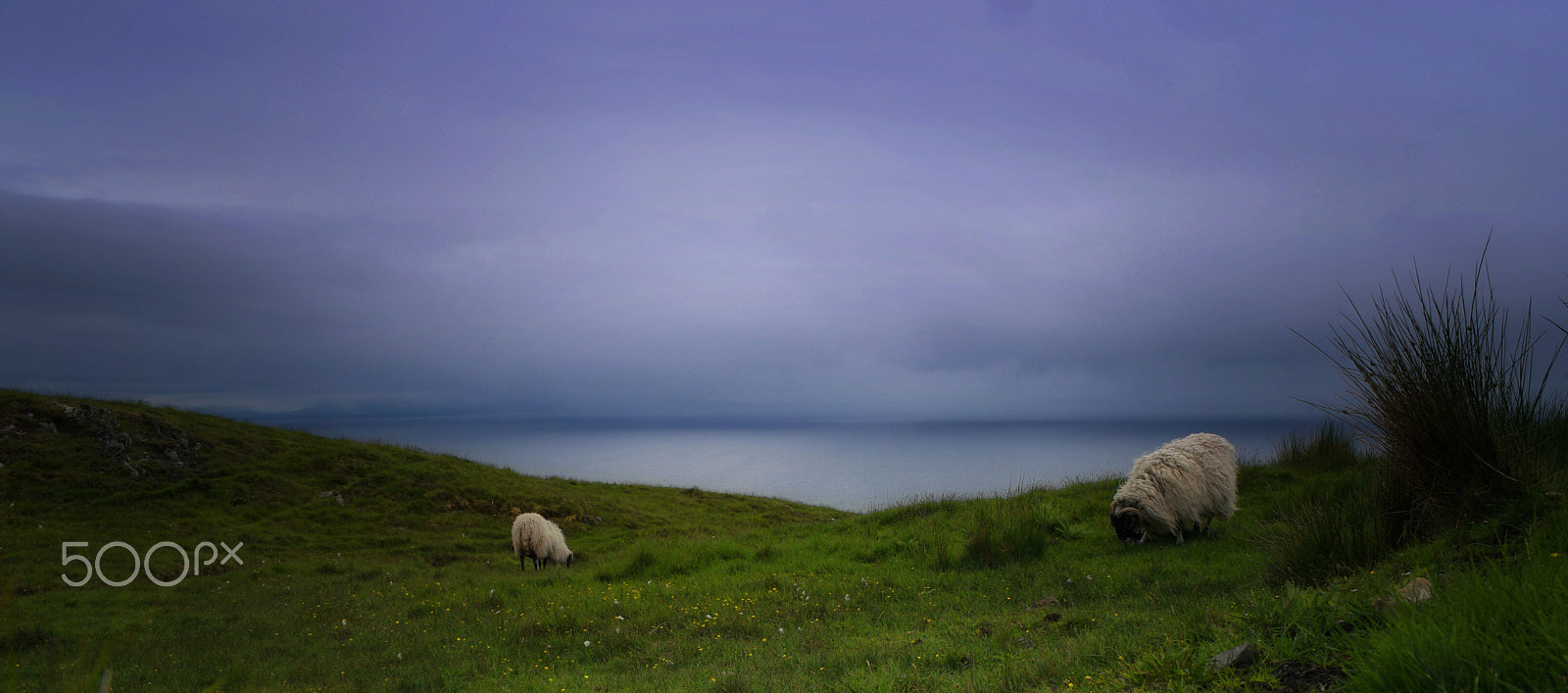 Saumsun NX 16-50mm F2-2.8 S ED OIS sample photo. Typically ireland photography