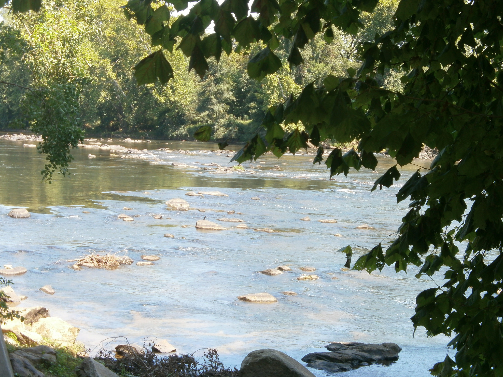 Olympus VG110,D700 sample photo. Shady river photography