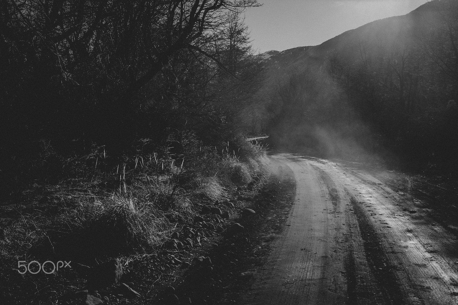 Canon EF 35mm F1.4L USM sample photo. Camino cerro tronador photography