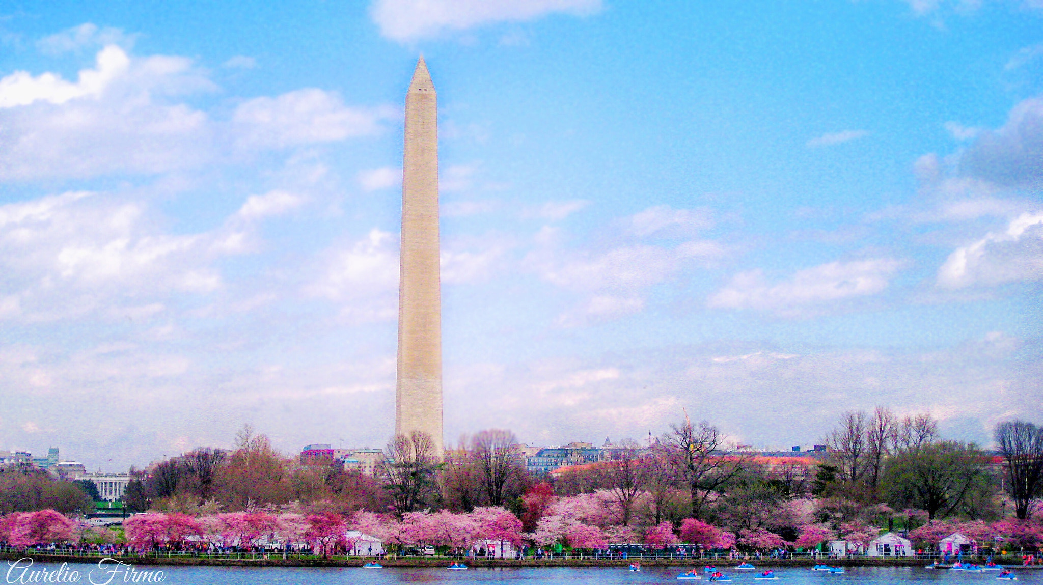 Canon PowerShot SD790 IS (Digital IXUS 90 IS / IXY Digital 95 IS) sample photo. Washington monument in  washington dc photography