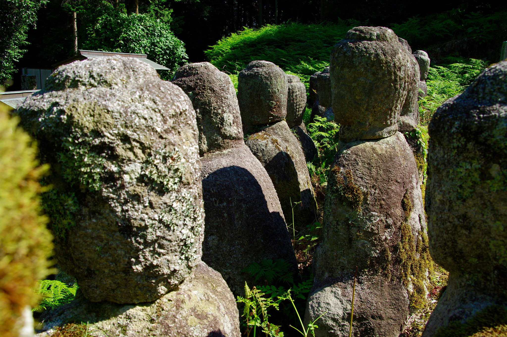 Pentax K20D sample photo. The 4 photography
