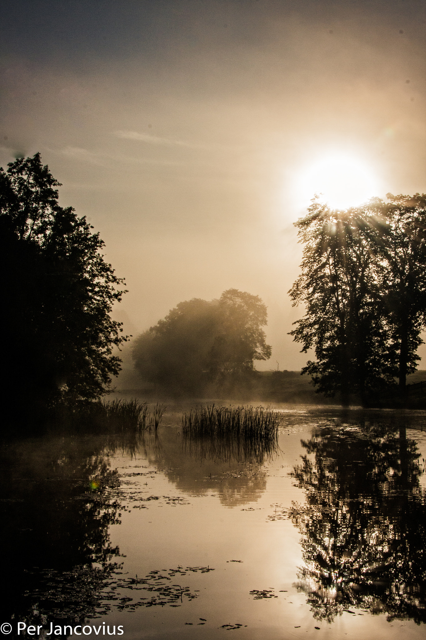Canon EOS 40D sample photo. Komstad kvarn on a foggy morning photography