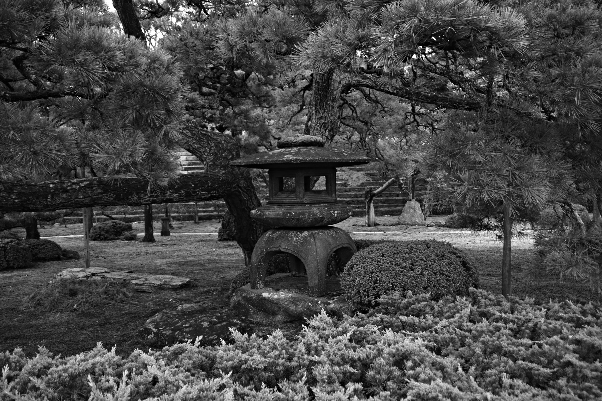 Canon EOS 40D + Tamron AF 18-250mm F3.5-6.3 Di II LD Aspherical (IF) Macro sample photo. 京都 (nijo castle garden) photography