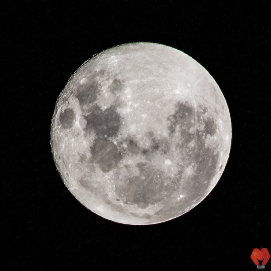 Canon EOS 650D (EOS Rebel T4i / EOS Kiss X6i) sample photo. Whitemoon. photography