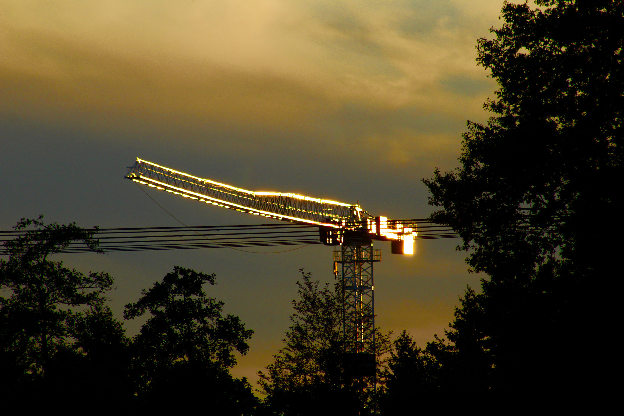 Canon EF75-300mm f/4-5.6 sample photo