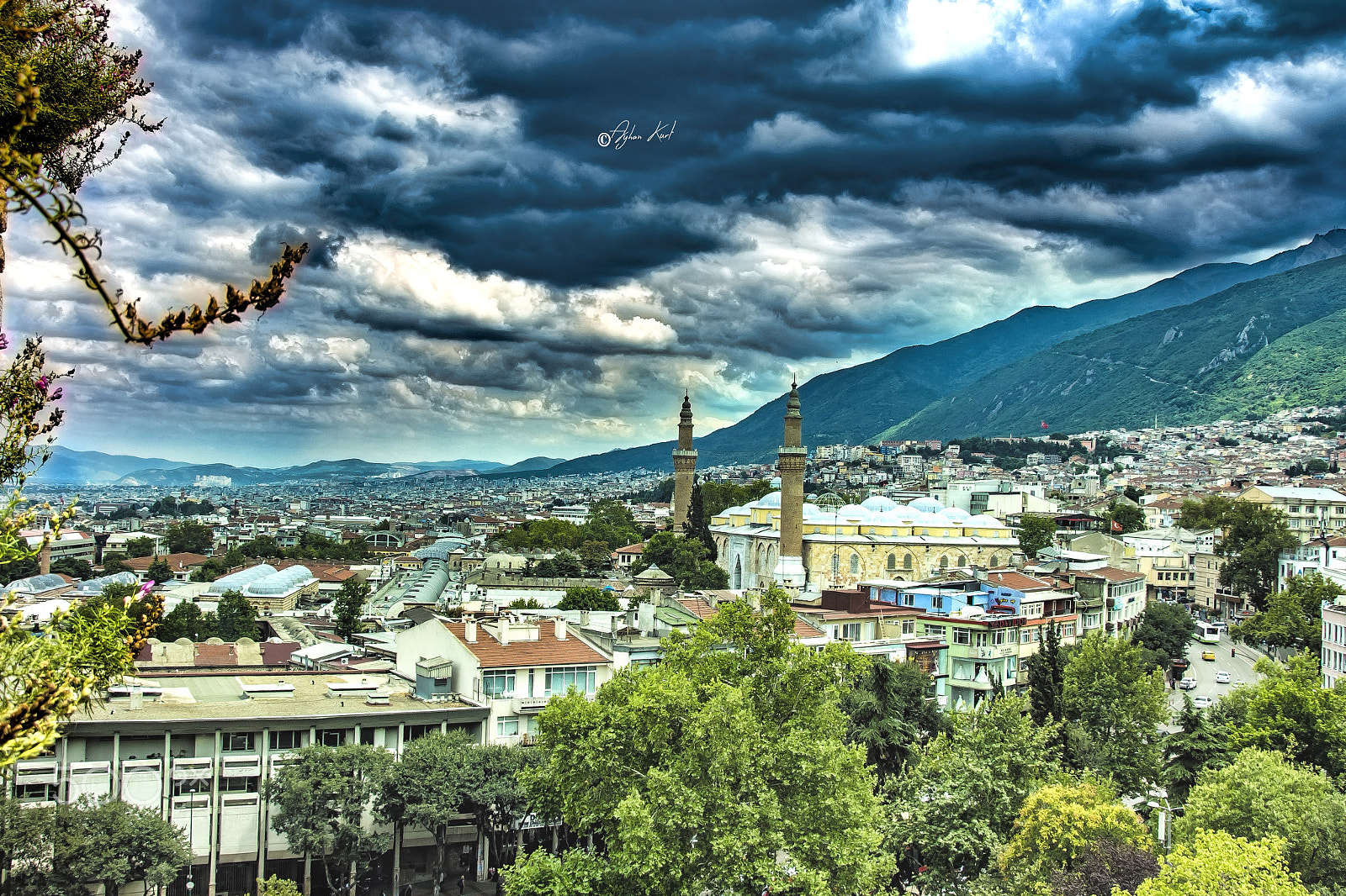 Sigma 18-250mm F3.5-6.3 DC OS HSM sample photo. Bursa photography