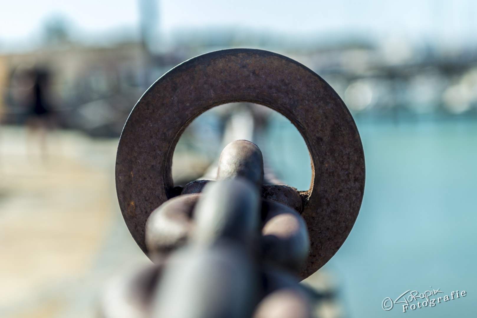 Sigma 24-70mm F2.8 EX DG Macro sample photo. Ring and chain photography