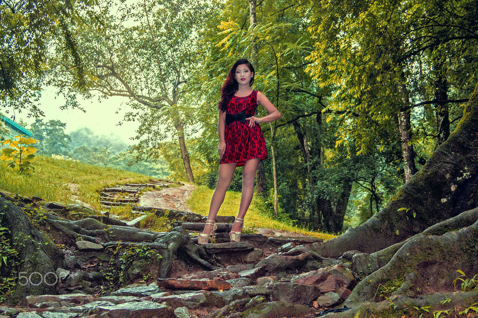 Canon EF 28-70mm f/3.5-4.5 sample photo. Nature queen photography