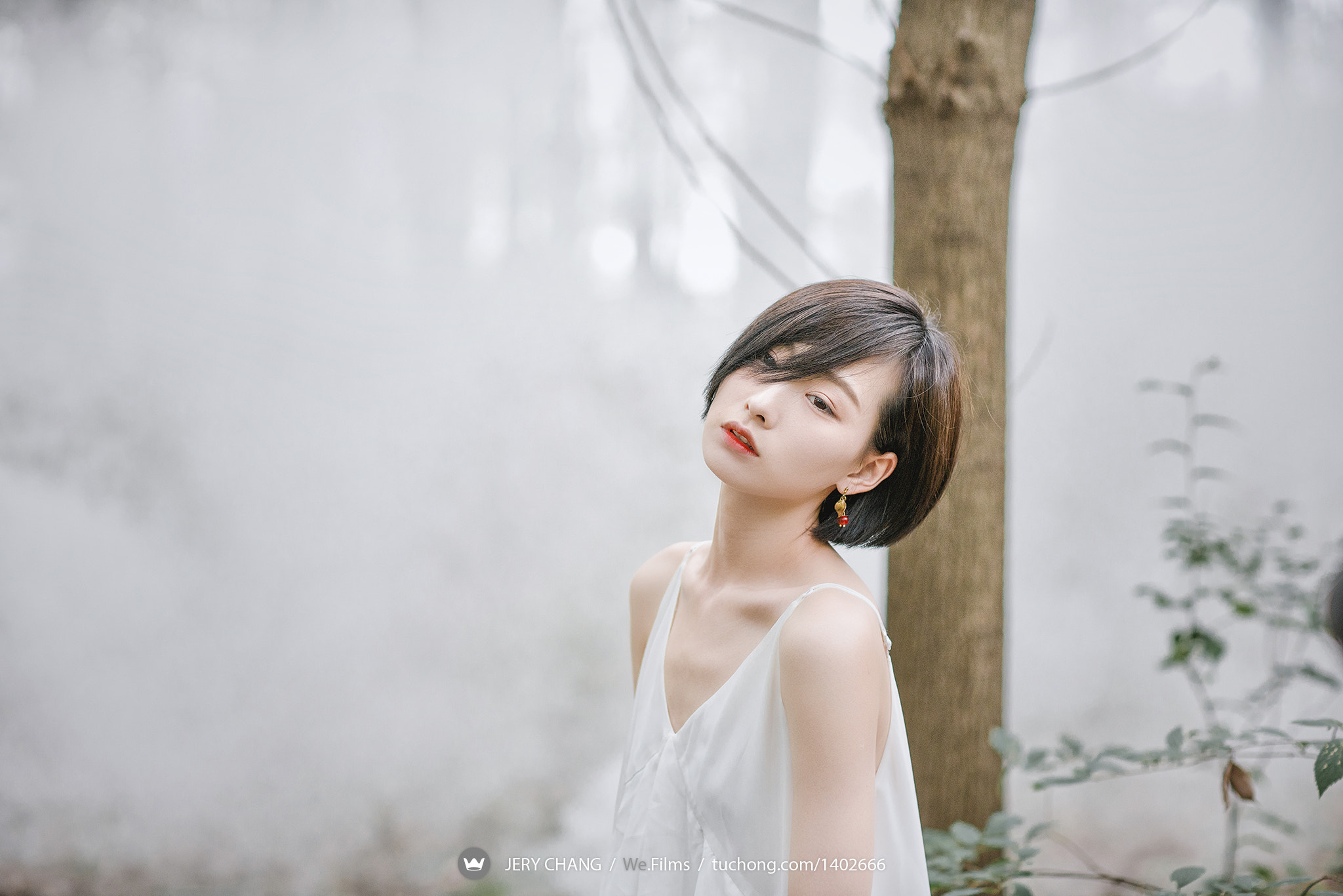 Canon EF 85mm F1.2L II USM sample photo. In the forest photography