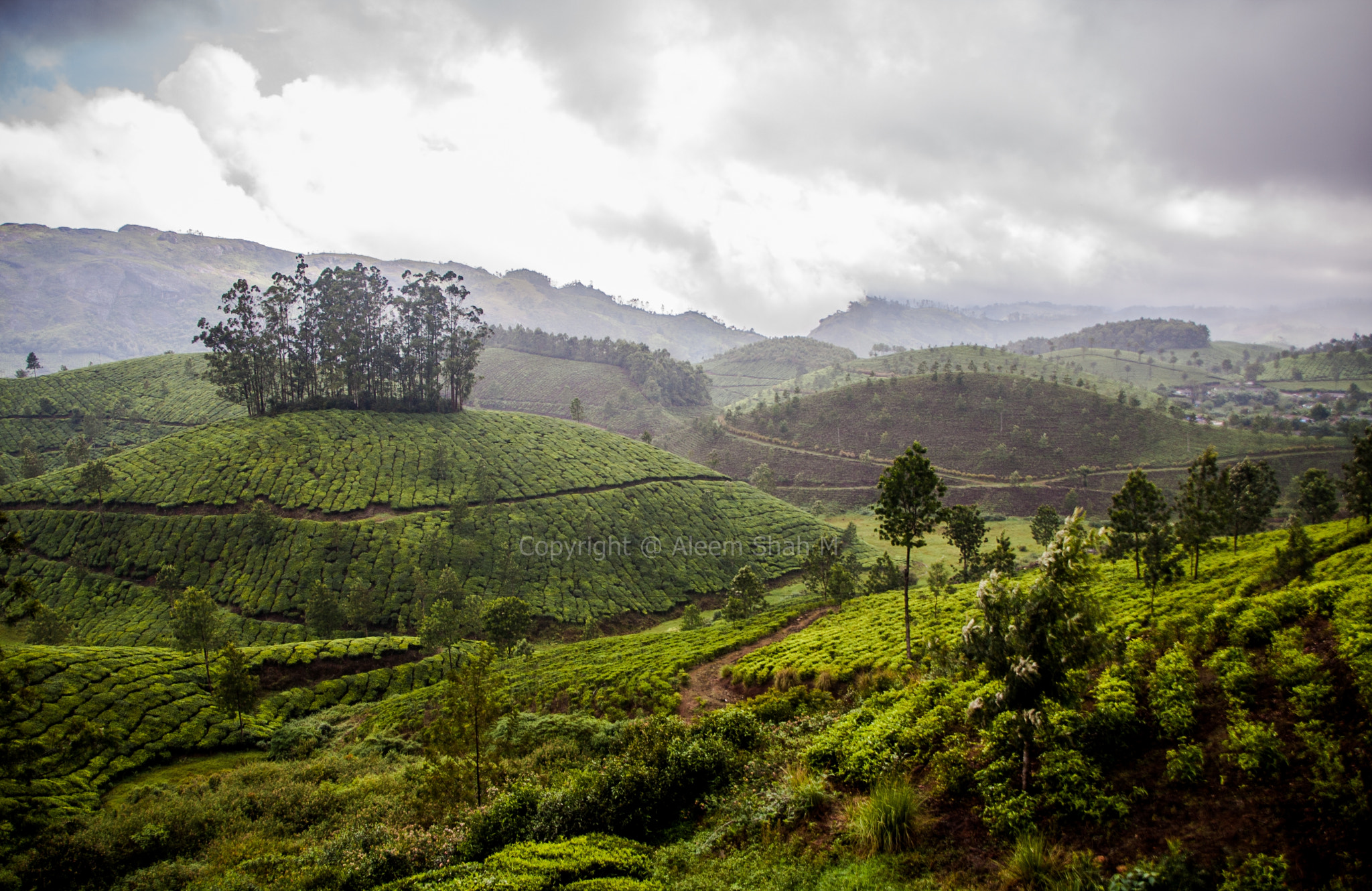 Canon EOS 40D sample photo. Mohawk hill, munnar, kerela (india) photography
