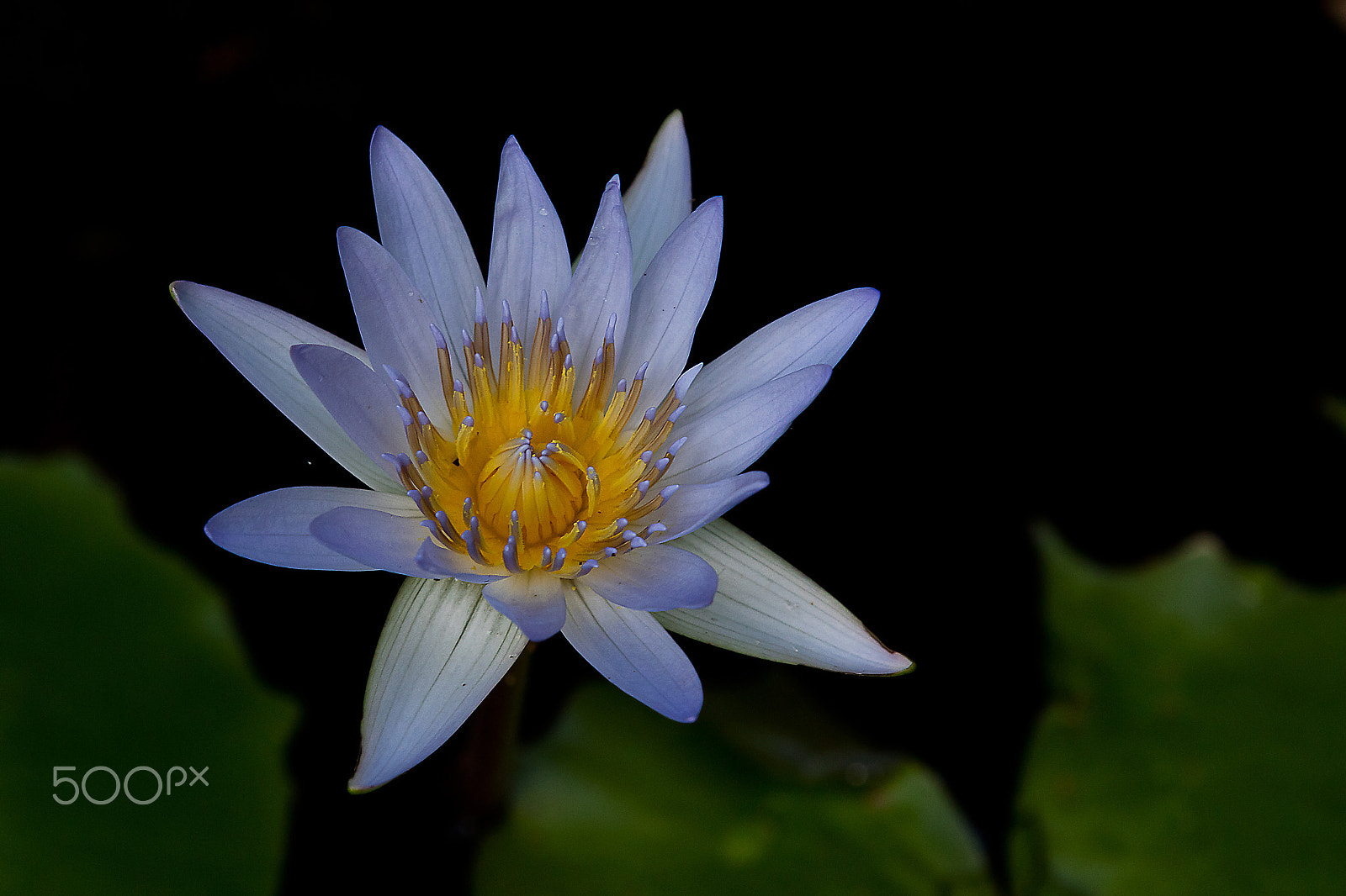 Canon EOS 5DS R sample photo. 5dsr1658.jpg photography