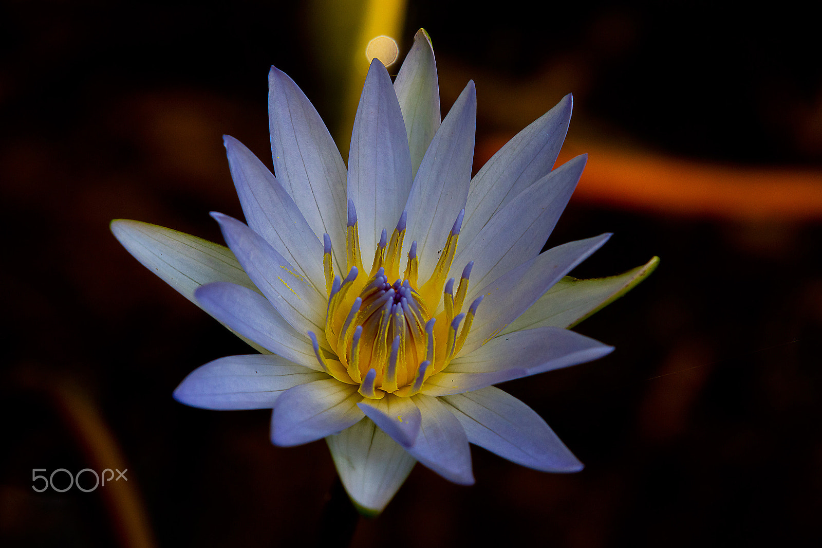 Canon EOS 5DS R sample photo. 5dsr1743.jpg photography