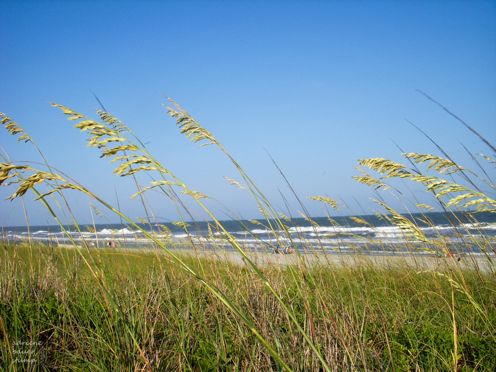 Nikon COOLPIX S51 sample photo. Myrtle beach, ocean creek resort photography