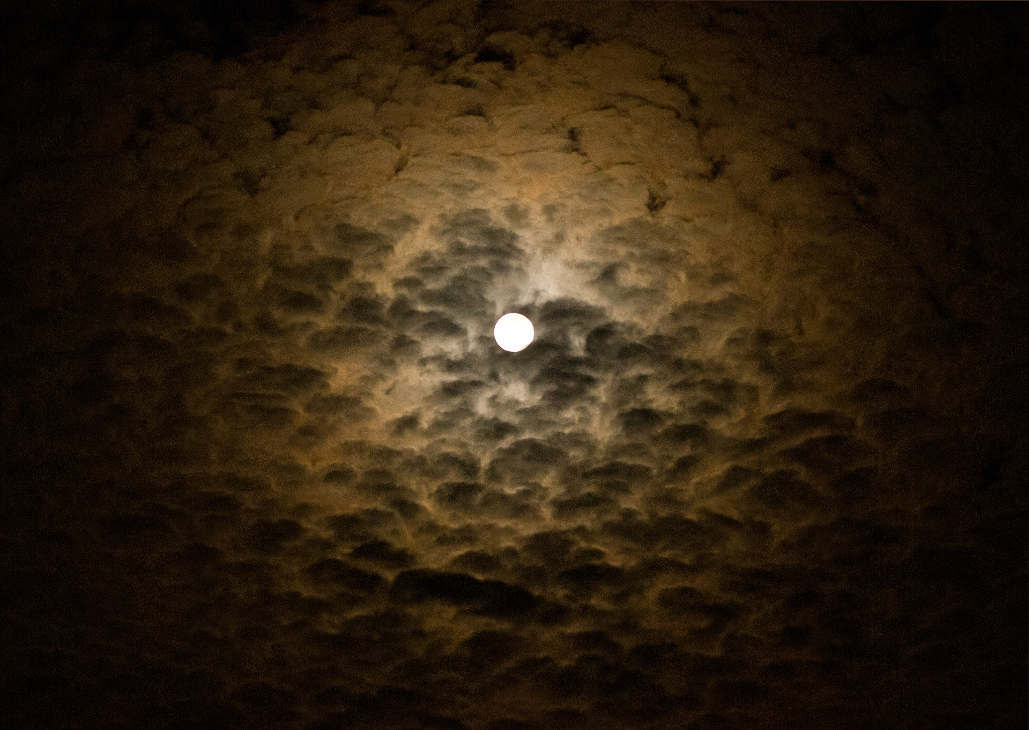 AF Zoom-Nikkor 80-200mm f/4.5-5.6D sample photo. Moon photography