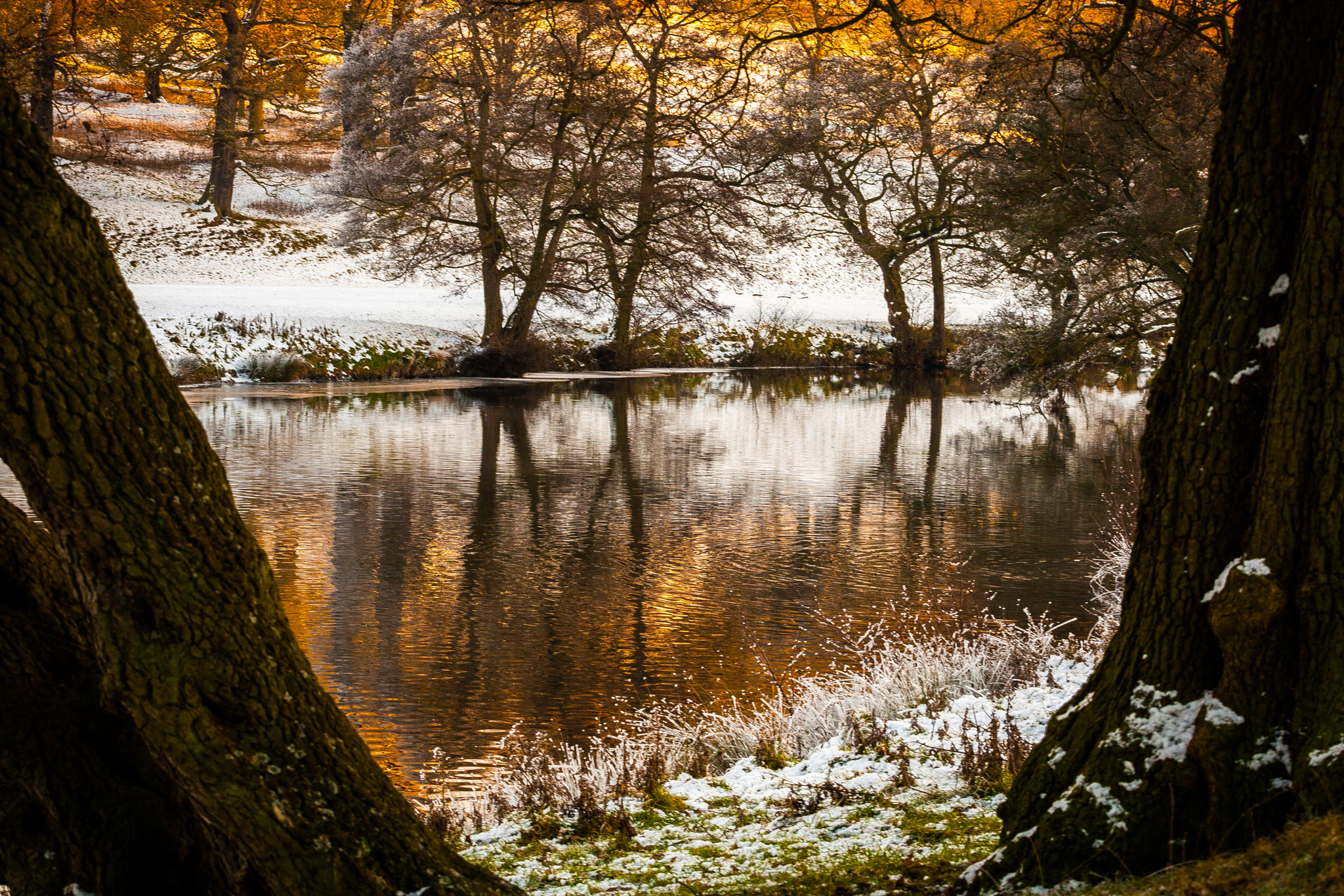 Canon EOS 30D + Canon EF 70-200mm F4L USM sample photo. Chatsworth winter river light derbyshire photography