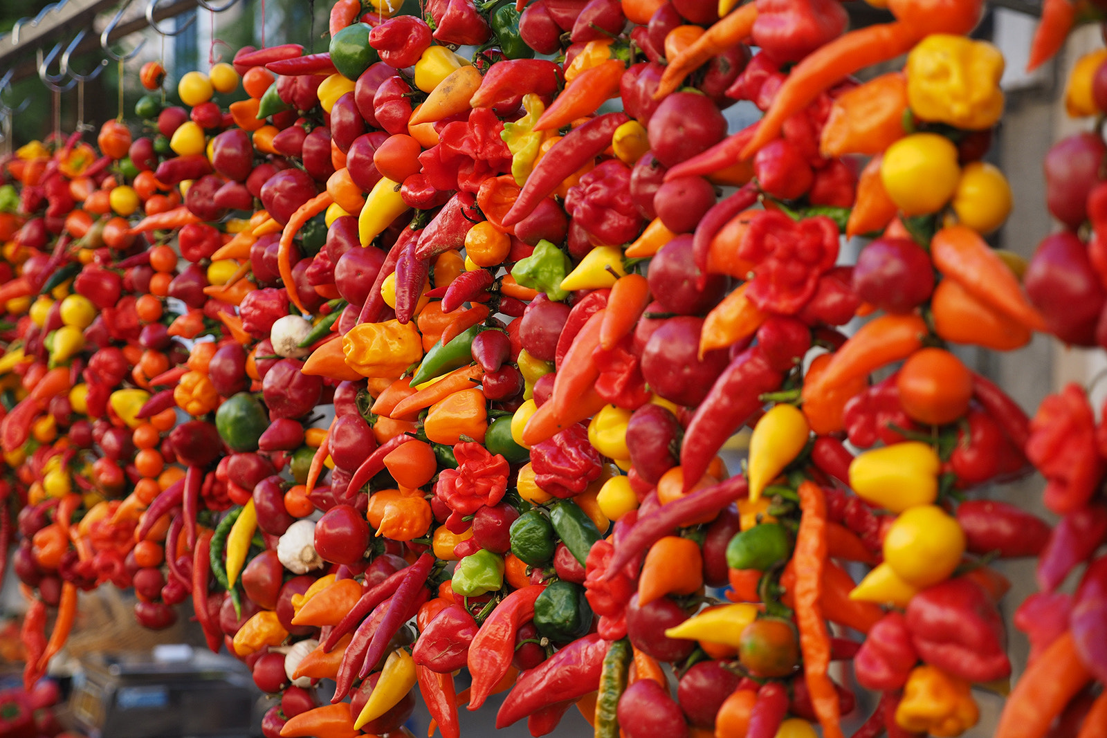 Panasonic Lumix G X Vario 12-35mm F2.8 ASPH Power OIS sample photo. Paprika photography