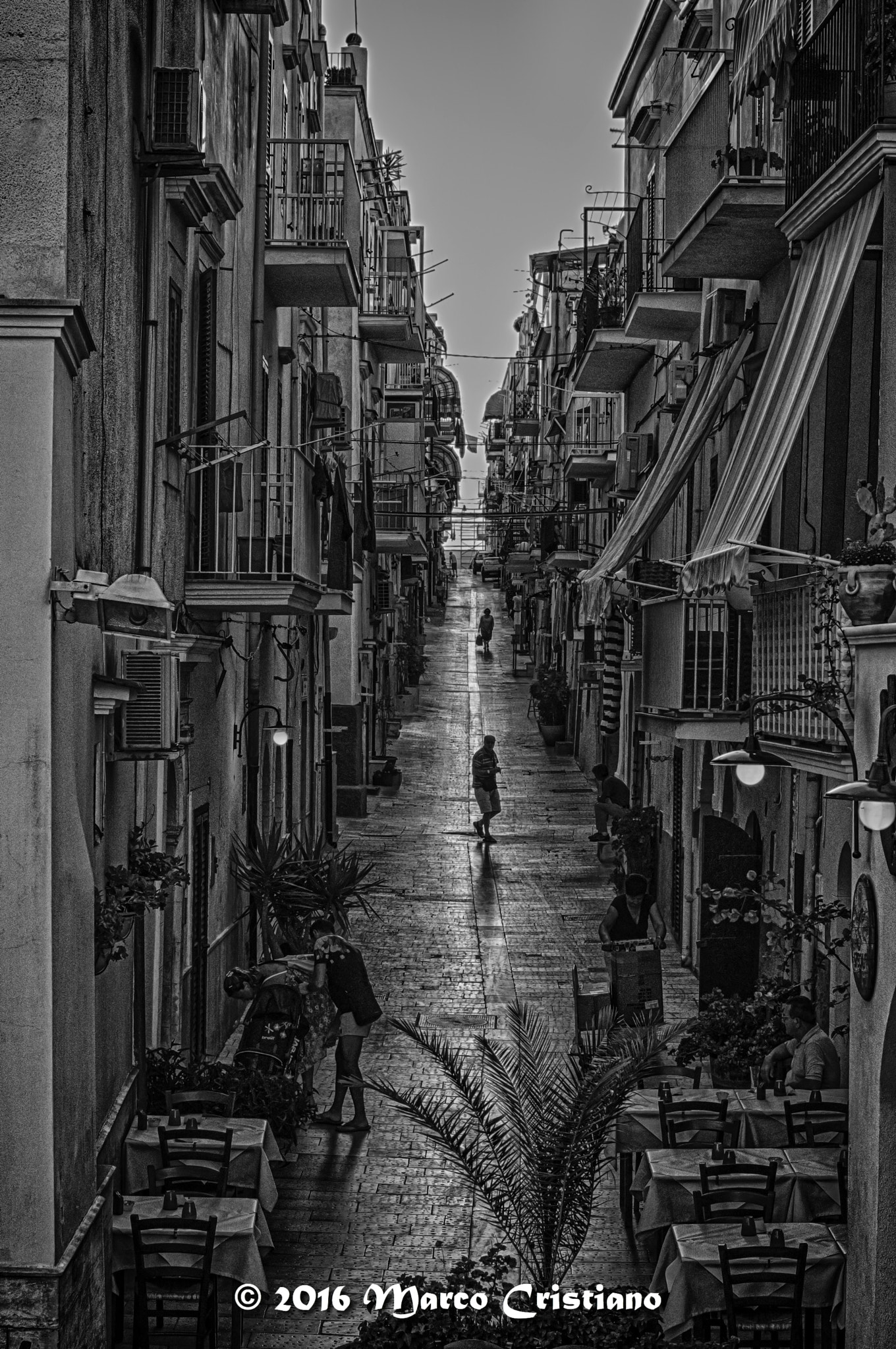 AF Nikkor 50mm f/1.4 sample photo. Vieste... photography
