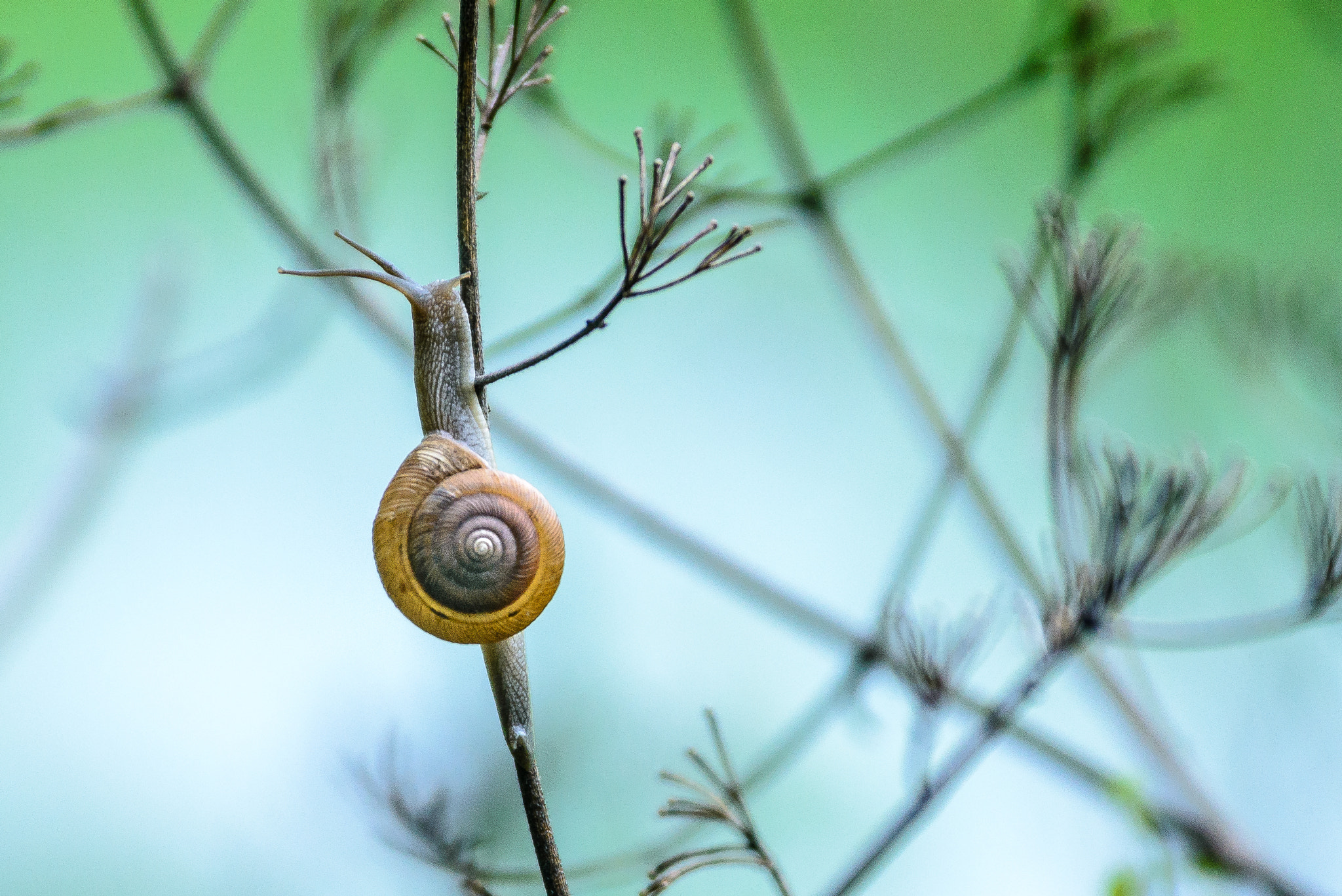 Nikon D600 sample photo. Survival photography