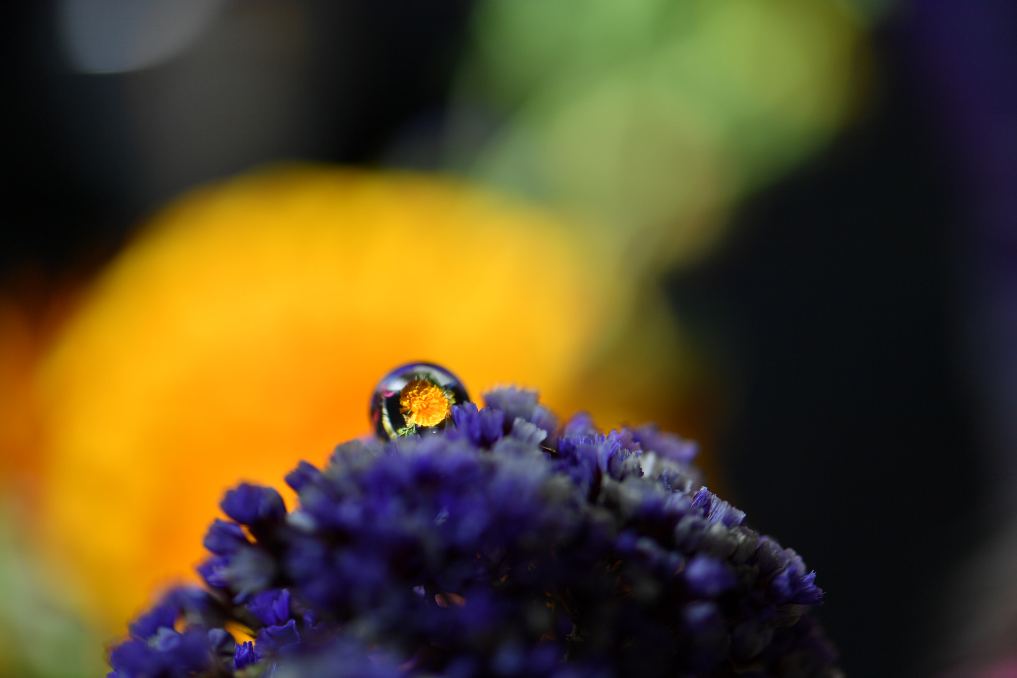 Nikon D5 sample photo