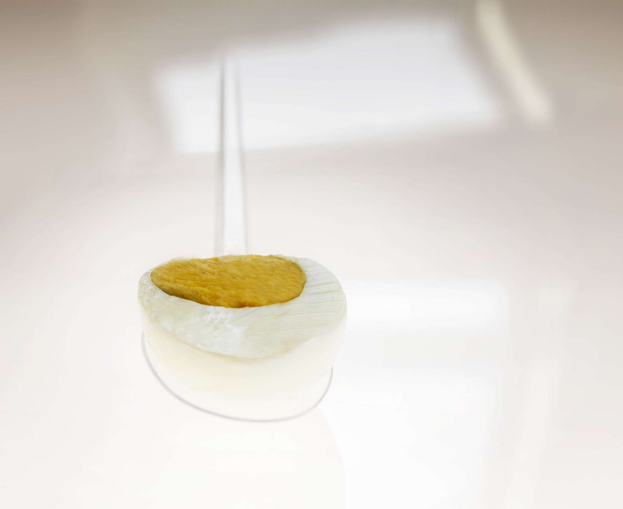 Canon EF 50mm F2.5 Macro sample photo. Eggmeal photography