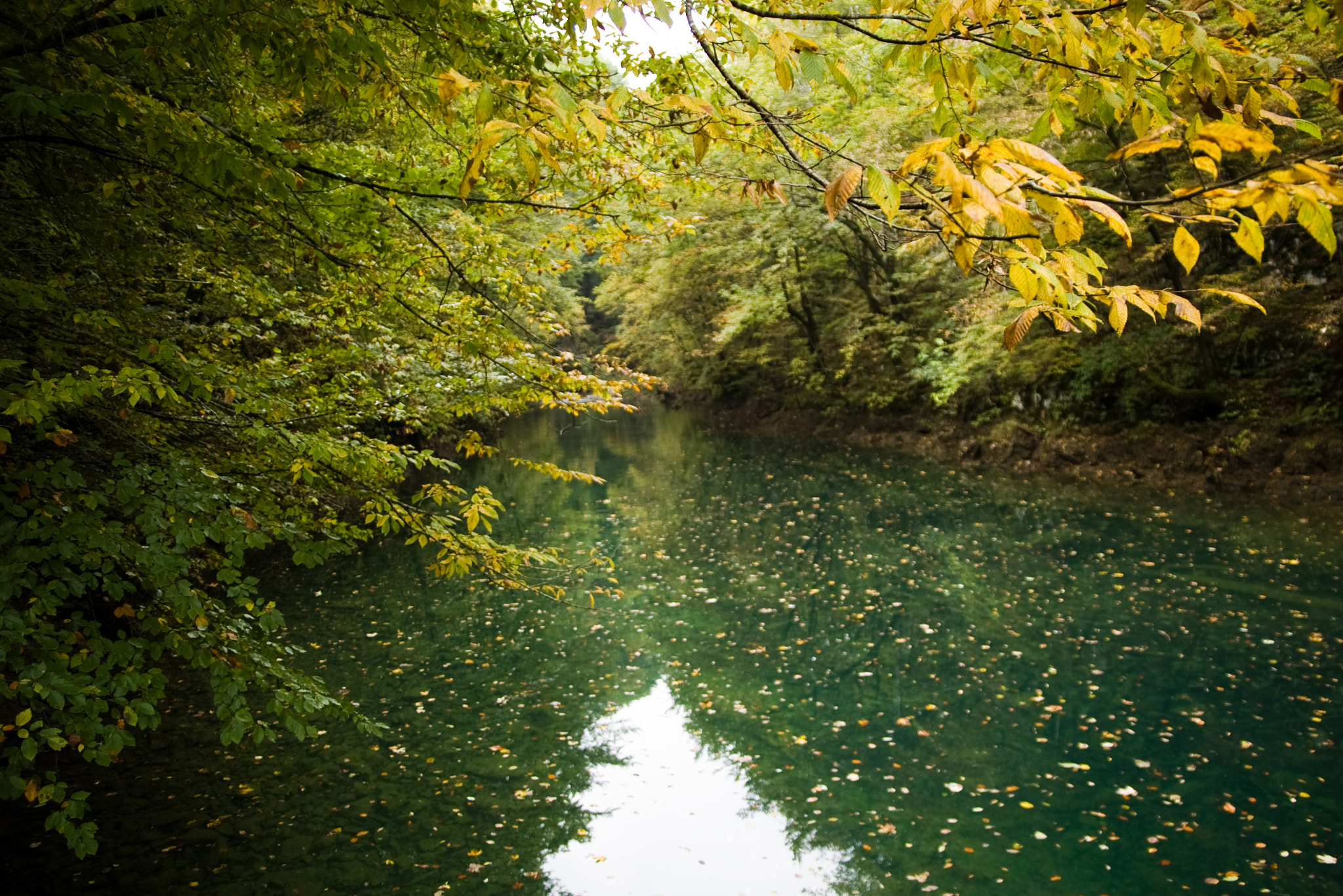 Tamron 35-90mm F4 AF sample photo. Kamacnik river photography