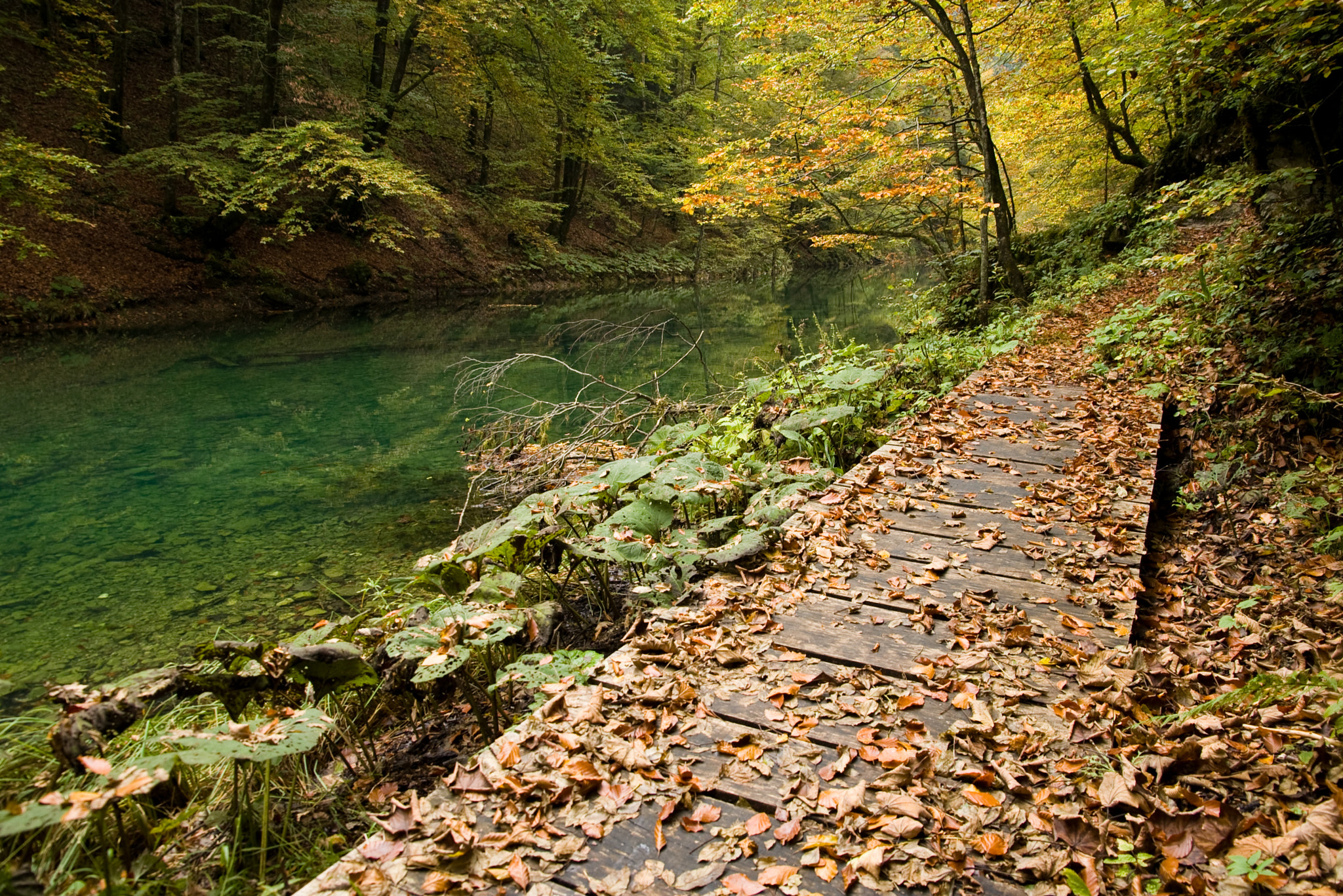 Tamron 35-90mm F4 AF sample photo. Kamacnik pathway photography