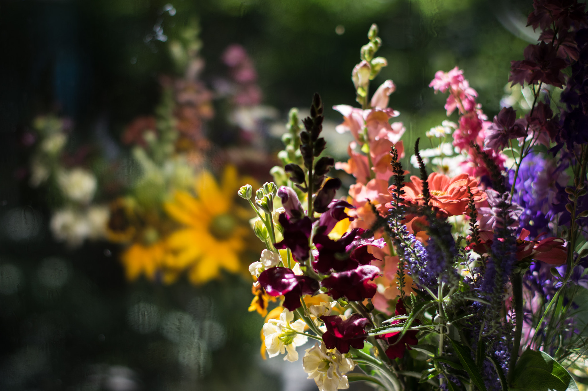 Pentax K-3 + Pentax smc FA 50mm F1.4 sample photo. Reflections photography