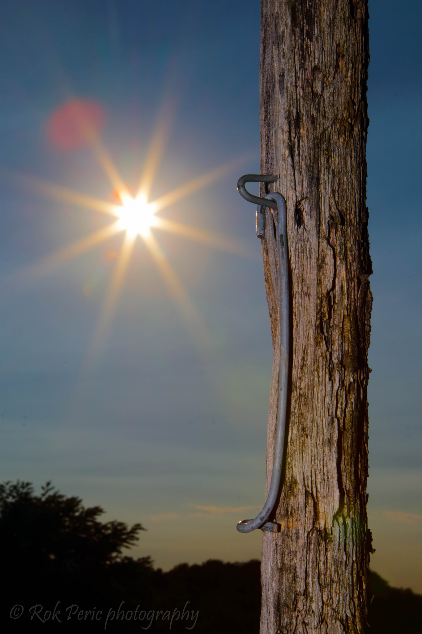 Canon EOS 80D + Canon EF 24-70mm F2.8L USM sample photo. Sun over vineyard photography