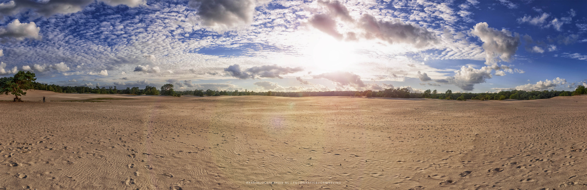 Nikon D80 sample photo. Soestduinen photography