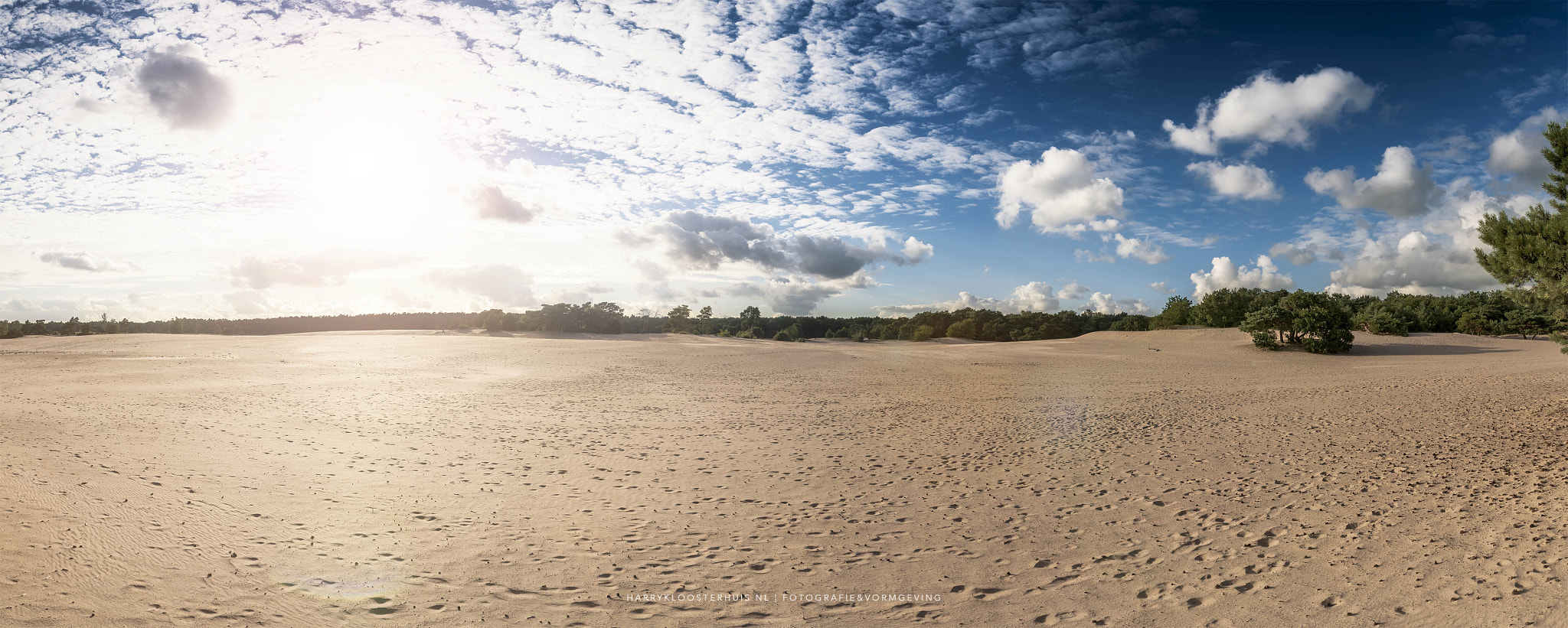 Nikon D80 sample photo. Soestduinen photography