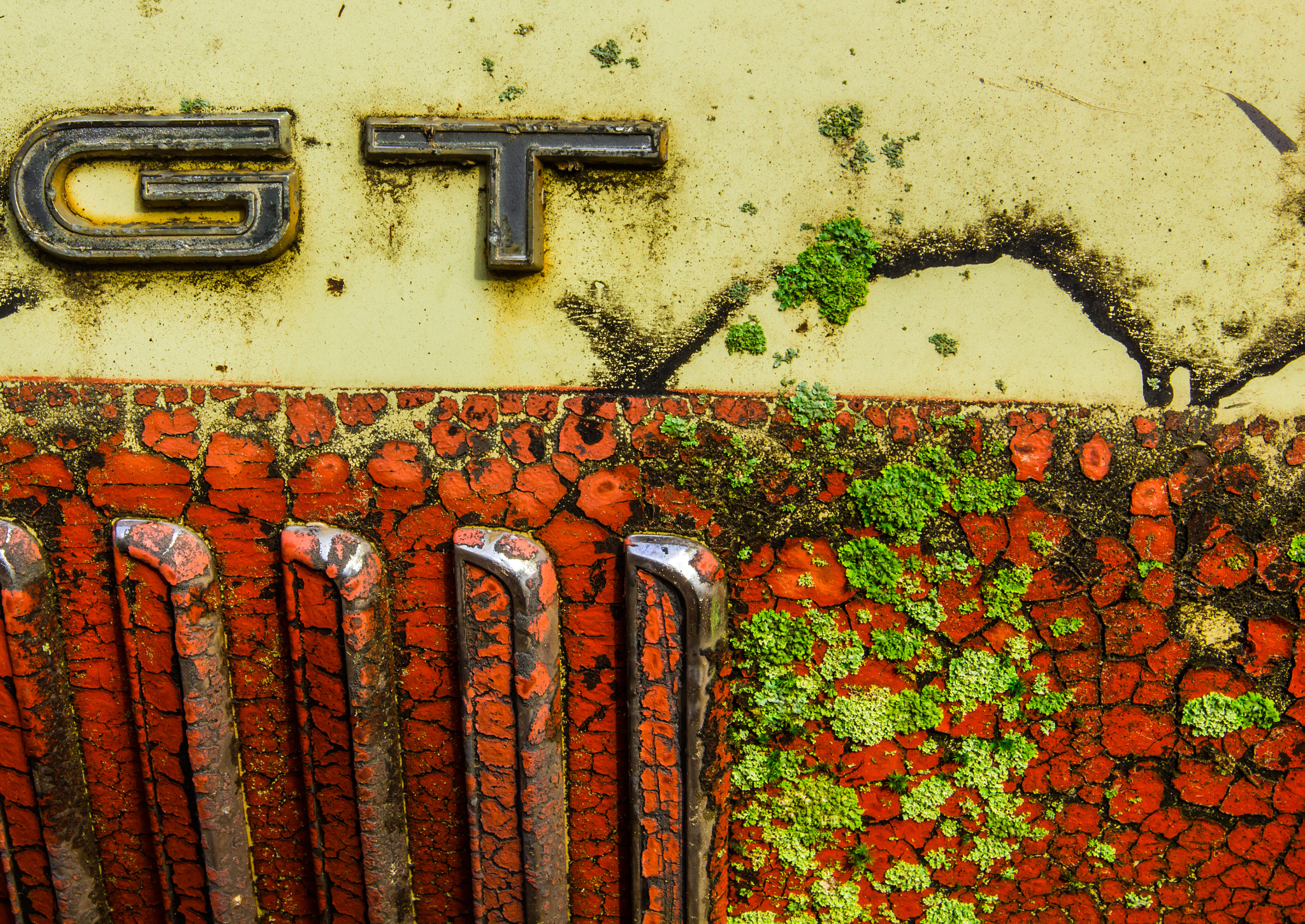 Canon EF 16-35mm F2.8L II USM sample photo. Gt photography