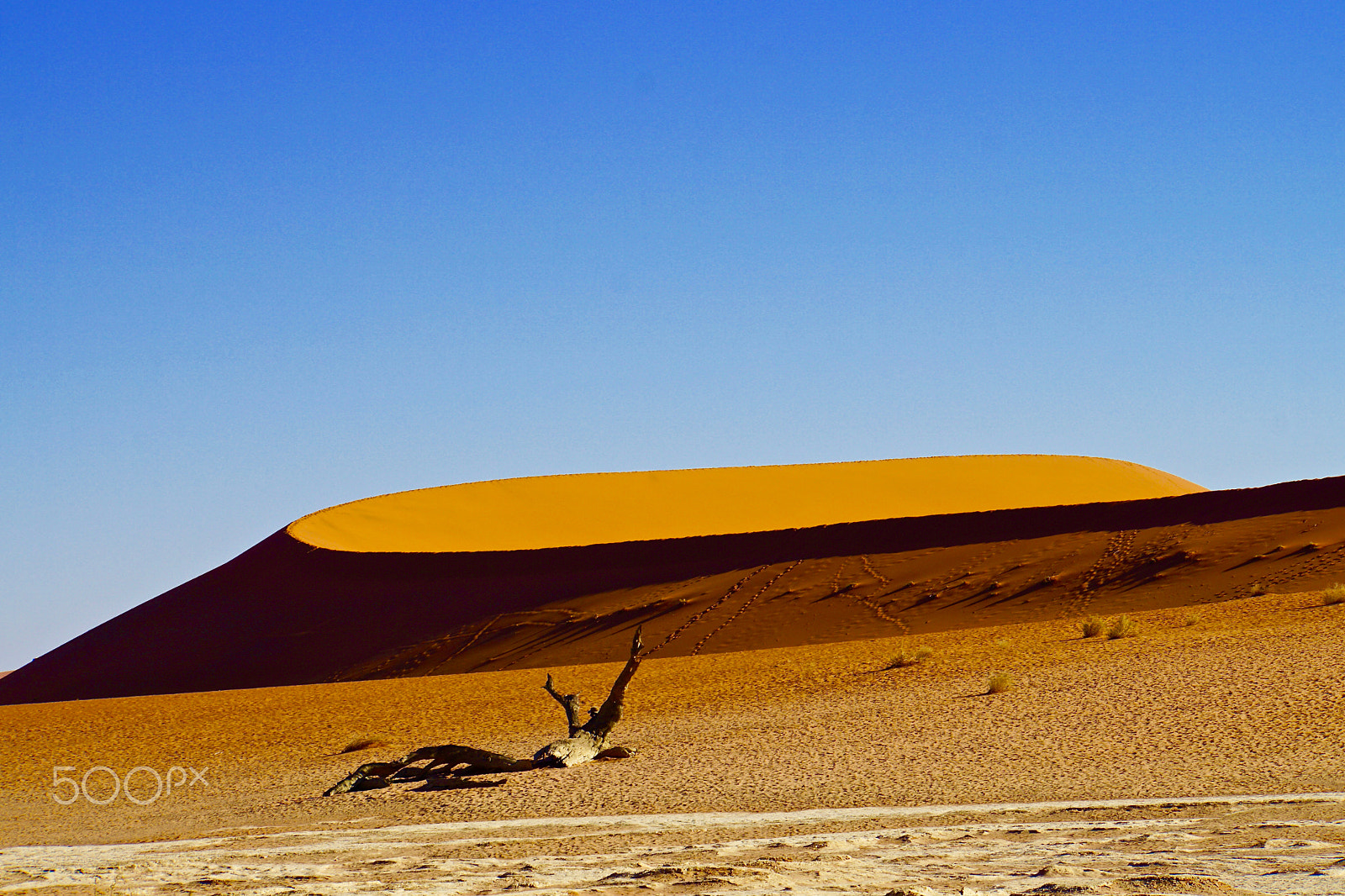 Sony E 18-200mm F3.5-6.3 sample photo. Sand dune photography