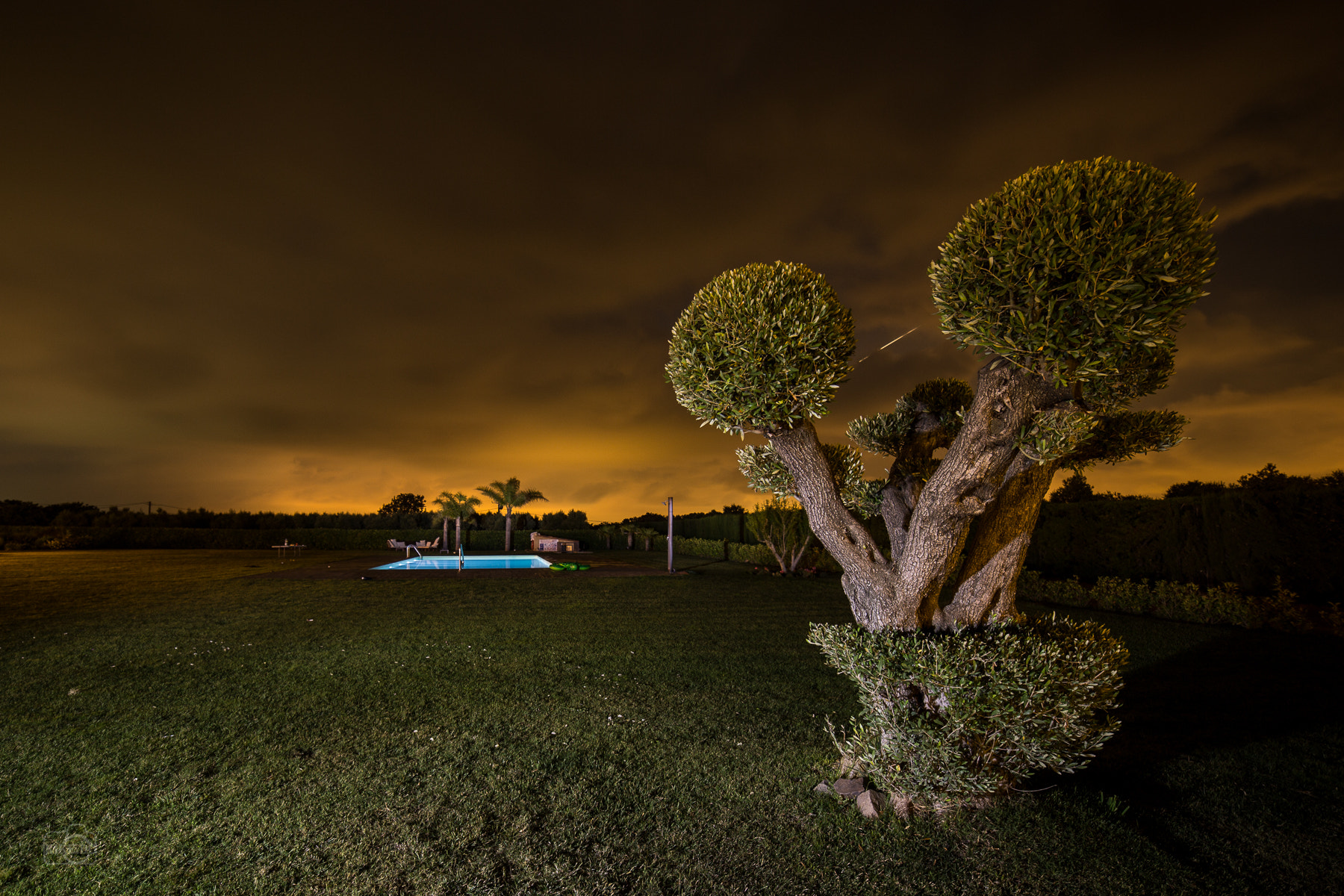 Canon EF 28-80mm f/3.5-5.6 sample photo. Olivo photography