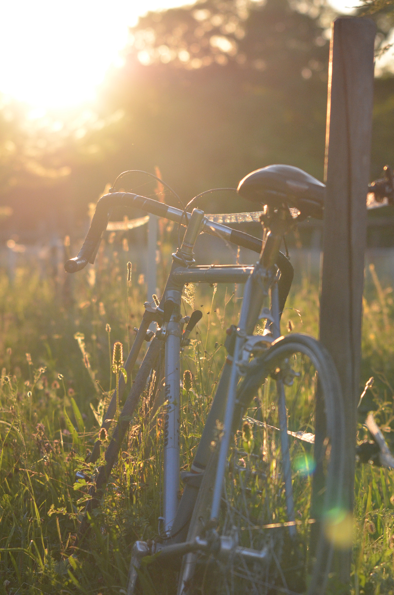 Sigma 70-200mm F2.8 EX DG Macro HSM II sample photo. Poor bicycle photography